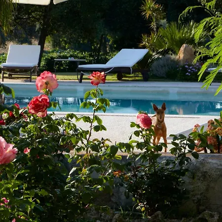 Baglio Sant'andrea Bed & Breakfast 4*